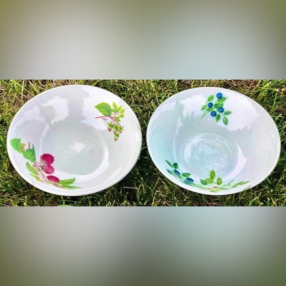 Set of 2 SELTMANN WEIDEN BAVARIA West Germany Qualitats Porzellan Soup Bowls - Picture 6 of 10